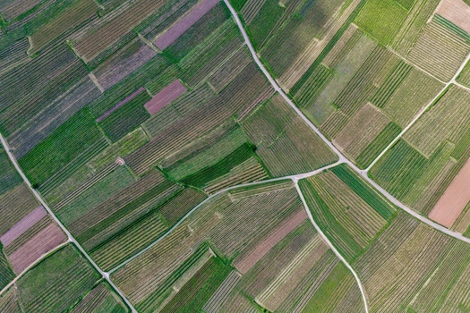 Aerial view of a patchwork of agricultural fields and vineyards with narrow rural roads in Ribeauville Grand Est France. Aerial view of a patchwork of agricultural fields and vineyards with narrow rural roads in Ribeauville Grand Est France.