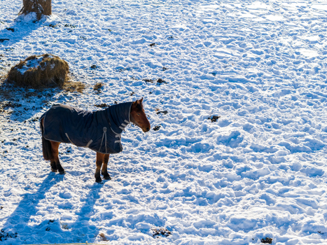 Aerial view of a brown horse wearing a winter blanket standing in a snowy field next to a hay bale in Lithuania.