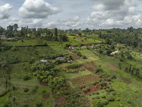 Aerial view of rolling hills stitched with vibrant green tea plantations and small dwellings under a vast cloudy sky Nyeri Nyeri Kenya. Aerial view of rolling hills stitched with vibrant green tea plantations and small dwellings under a vast cloudy sky Nyeri Nyeri Kenya.