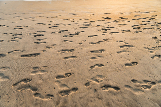 View of numerous footprints scattered across the wet sand of a beach under warm golden sunlight Galle Southern Province Sri Lanka.