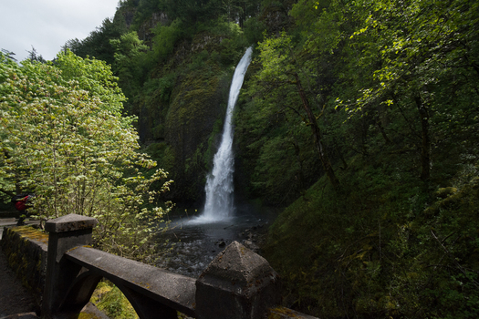 View of Horsetail Falls cascading down a mossy cliff surrounded by lush green forest with a stone bridge railing in the foreground in Hood River Oregon United States.