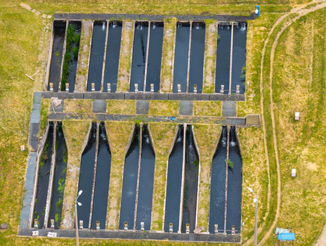 Aerial view of a trout aquaculture facility with rectangular concrete raceways and flowing water channels in Pomeranian Voivodeship Poland. Aerial view of a trout aquaculture facility with rectangular concrete raceways and flowing water channels in Pomeranian Voivodeship Poland.