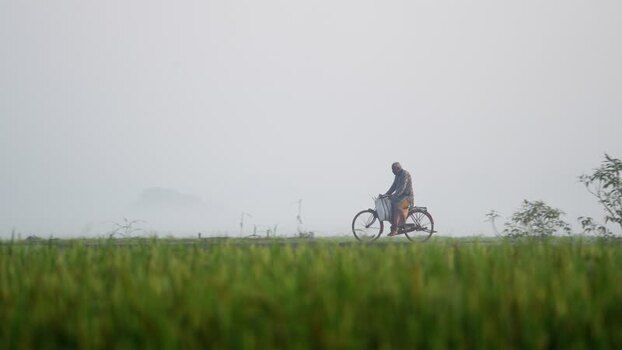 View of a man riding a bicycle through a misty rural field Bangladesh. View of a man riding a bicycle through a misty rural field Bangladesh.