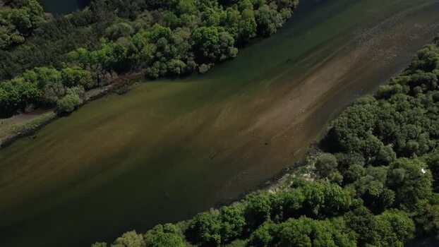 Aerial view of sediments on the river and green trees Portugal. Aerial view of sediments on the river and green trees Portugal.