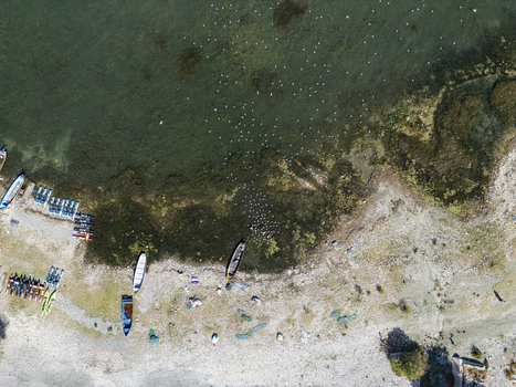 Aerial view of Shiroka Pier on Lake Shkoder featuring small fishing boats moored on the rocky shore scattered nets and a flock of birds swimming Shiroka Shkoder County Albania. Aerial view of Shiroka Pier on Lake Shkoder featuring small fishing boats moored on the rocky shore scattered nets and a flock of birds swimming Shiroka Shkoder County Albania.