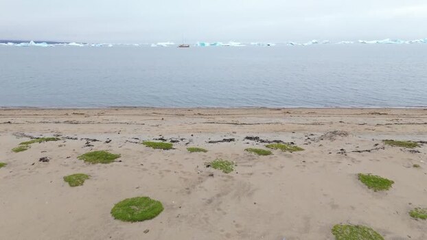 Aerial view of a sandy beach and icebergs Greenland. Aerial view of a sandy beach and icebergs Greenland.