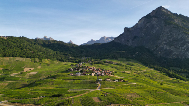Aerial view of the village of Montagnon nestled among lush terraced vineyards on a steep hillside under a clear blue sky in Leytron Valais Switzerland. Aerial view of the village of Montagnon nestled among lush terraced vineyards on a steep hillside under a clear blue sky in Leytron Valais Switzerland.