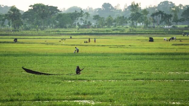 View of a person in a boat on a flooded green field Bangladesh.