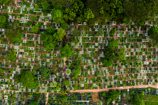 Aerial view of the dense Azimpur Graveyard with numerous rectangular graves interspersed with lush green trees and narrow pathways in Dhaka Dhaka Division Bangladesh.