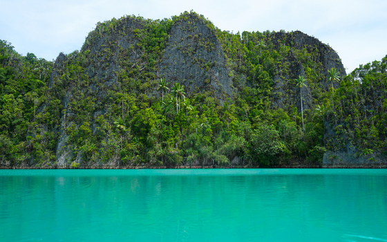 View of towering limestone karst cliffs covered in lush tropical vegetation rising from the vibrant turquoise waters of the sea in Indonesia. View of towering limestone karst cliffs covered in lush tropical vegetation rising from the vibrant turquoise waters of the sea in Indonesia.
