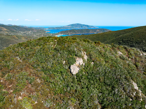 Aerial view of Passo del Monumento surrounded by dense Mediterranean scrubland rocky outcrops and the distant coastline of the Tyrrhenian Sea in Campo nell Elba Toscana Italy.