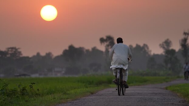 View of a man cycling through rural fields at sunset Bangladesh. View of a man cycling through rural fields at sunset Bangladesh.