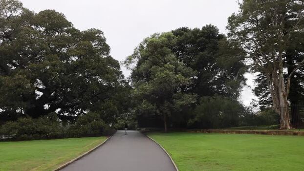 View of a person walking in Royal Botanic Garden Sydney Australia.