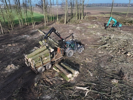 Nederland 06 July 2026 Aerial view of a tractor with a crane loading logs onto a trailer in a cleared forest area with an excavator nearby. Nederland 06 July 2026 Aerial view of a tractor with a crane loading logs onto a trailer in a cleared forest area with an excavator nearby.