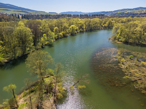 Aerial view of the Biela Orava river winding through lush green spring forests with rolling hills and mountains under a clear sky in Namestovo Zilinsky kraj Slovakia. Aerial view of the Biela Orava river winding through lush green spring forests with rolling hills and mountains under a clear sky in Namestovo Zilinsky kraj Slovakia.