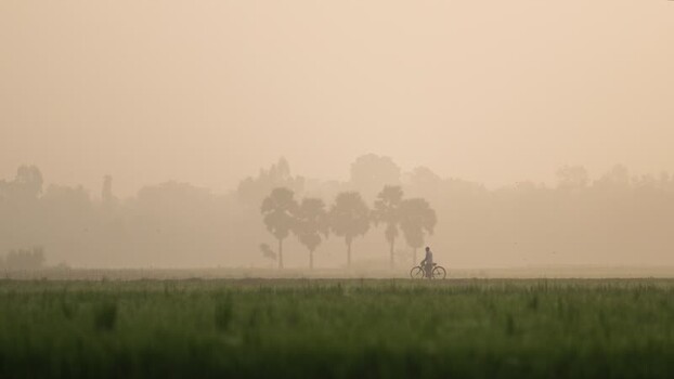 View of a person riding a bicycle through a misty field Bangladesh.