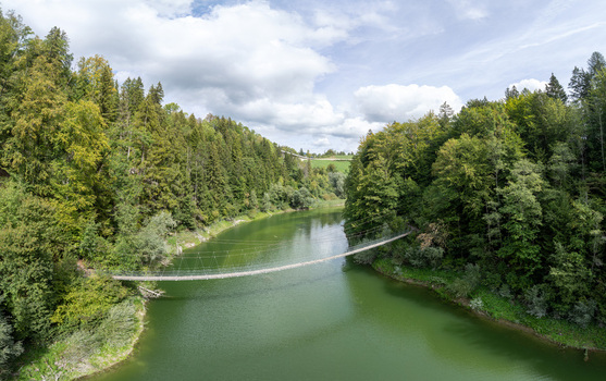 Aerial view of the suspension bridge over Lac de Montsalvens surrounded by dense green forests and calm water in Gruyere District Fribourg Switzerland. Aerial view of the suspension bridge over Lac de Montsalvens surrounded by dense green forests and calm water in Gruyere District Fribourg Switzerland.