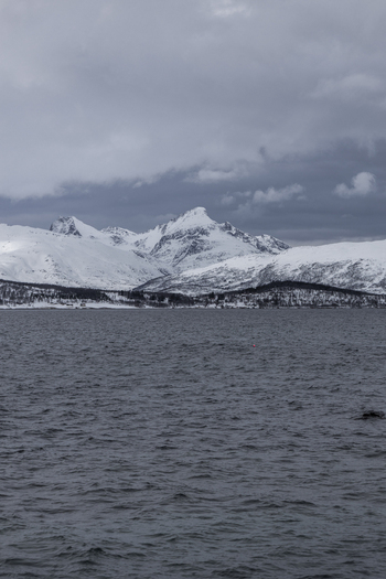 View of majestic snow capped mountains rising above the dark waters of a fjord under an overcast sky in Tromso Troms Norway.