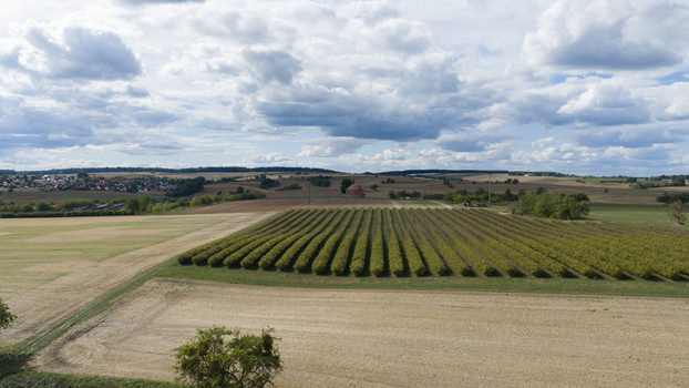 Aerial view of the Wendelinuskapelle chapel surrounded by agricultural fields and rows of crops under a cloudy sky in Monchberg Bayern Germany. Aerial view of the Wendelinuskapelle chapel surrounded by agricultural fields and rows of crops under a cloudy sky in Monchberg Bayern Germany.