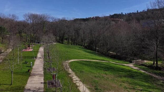 Aerial view of a park with bare trees Portugal.