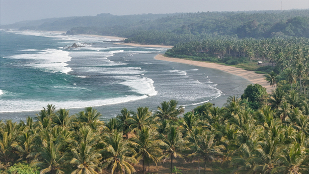 Aerial view of a tropical beach lined with lush palm trees and waves crashing on the shore in Indonesia. Aerial view of a tropical beach lined with lush palm trees and waves crashing on the shore in Indonesia.