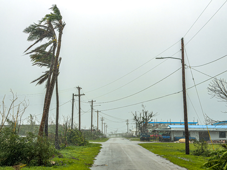 San Jose Tinian Northern Mariana Islands 06 July 2026 View of palm trees bending in strong winds during Super Typhoon Bavi on Tinian Island. San Jose Tinian Northern Mariana Islands 06 July 2026 View of palm trees bending in strong winds during Super Typhoon Bavi on Tinian Island.