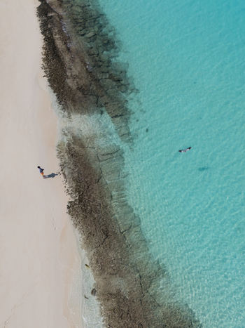 Aerial view of the tranquil beach person and a bird flying meeting the crystalline waters a serene contrast of white sands and turquoise hues Vashafaru Island Thiladhummathi Atoll Maldives.