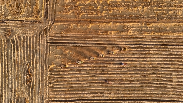 Kadinhani Konya Turkiye 24 September 2026 Aerial view of multiple combine harvesters working in golden wheat fields during harvest season under warm sunlight. Kadinhani Konya Turkiye 24 September 2026 Aerial view of multiple combine harvesters working in golden wheat fields during harvest season under warm sunlight.