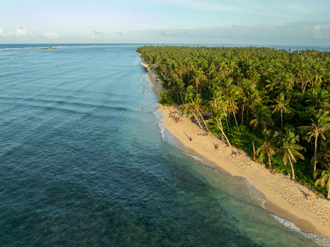 Aerial view of Mahaybo Beach with its golden sand lush palm trees and clear turquoise waters along the coastline in General Luna Caraga Philippines. Aerial view of Mahaybo Beach with its golden sand lush palm trees and clear turquoise waters along the coastline in General Luna Caraga Philippines.