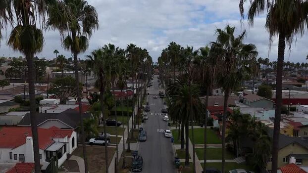 Aerial view of Baldwin Hills neighborhood in Los Angeles United States.