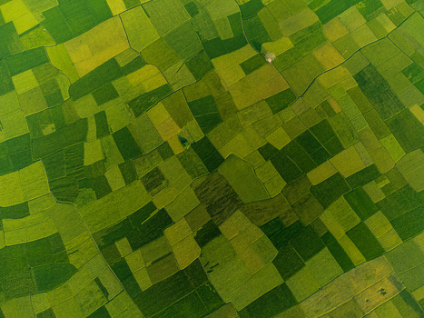 Aerial view of patchwork fields in vibrant greens and yellows create a beautiful mosaic of agricultural land Joypurhat Rajshahi Division Bangladesh. Aerial view of patchwork fields in vibrant greens and yellows create a beautiful mosaic of agricultural land Joypurhat Rajshahi Division Bangladesh.