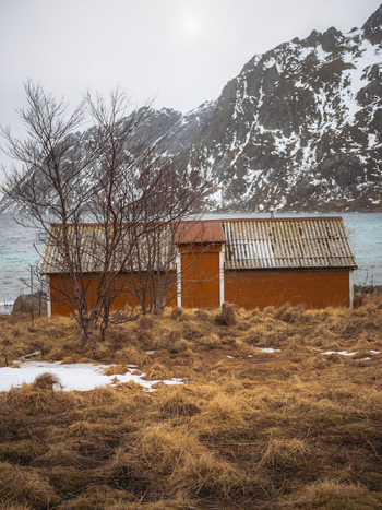 View of rustic orange cabins nestled in the golden grasses against a backdrop of snow dusted mountains and icy waters Skjelfjorden Nordland Norway. View of rustic orange cabins nestled in the golden grasses against a backdrop of snow dusted mountains and icy waters Skjelfjorden Nordland Norway.
