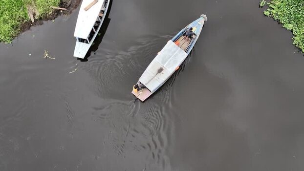 Aerial view of Rawa Bento swamp with fishermen in Indonesia.