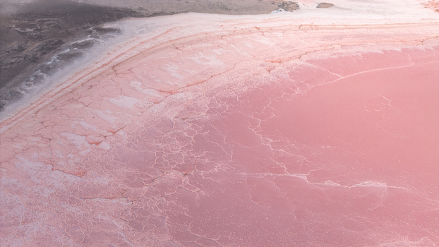 Aerial view of cracked pink salt crust and pale mineral layers forming an intricate organic pattern France. Aerial view of cracked pink salt crust and pale mineral layers forming an intricate organic pattern France.