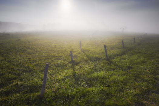 View of a foggy green field with wooden fence posts under a bright morning sun in Czorsztyn Lesser Poland Voivode Poland.