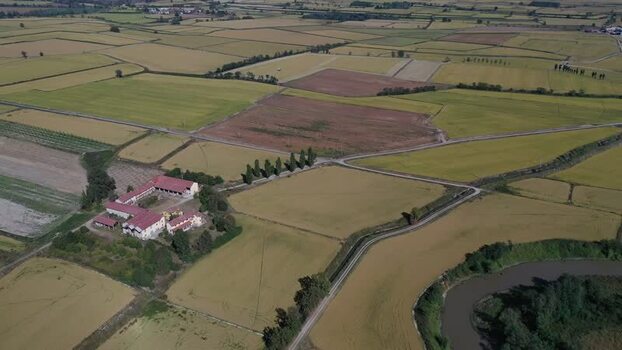 Aerial view of Agogna rice fields and farm buildings Italy.
