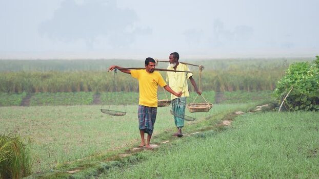 View of farmers carrying baskets in a field Bangladesh.