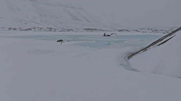 Aerial view of the snowy landscape of Pyramiden Svalbard and Jan Mayen.