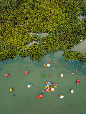 Aerial view of traditional round basket boats floating on a calm river next to dense green palm vegetation in Vietnam. Aerial view of traditional round basket boats floating on a calm river next to dense green palm vegetation in Vietnam.