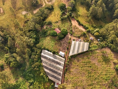 Aerial view of greenhouses nestled in the lush green hills featuring dirt paths and dense vegetation in Jarabacoa La Vega Province Dominican Republic.