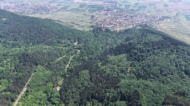 Aerial view of dense green forest and the town of Selestat France.