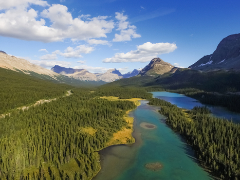 Aerial view of blue bow lake and dolomites peaks in Alberta Canada.