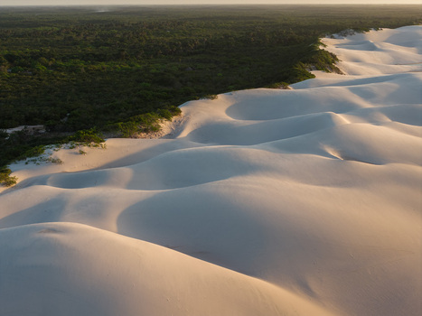 Aerial view of Parque Nacional dos Lencois Maranhenses showing rolling white sand dunes bordering a lush green forest under soft light Lencois Maranhenses MA Brazil. Aerial view of Parque Nacional dos Lencois Maranhenses showing rolling white sand dunes bordering a lush green forest under soft light Lencois Maranhenses MA Brazil.