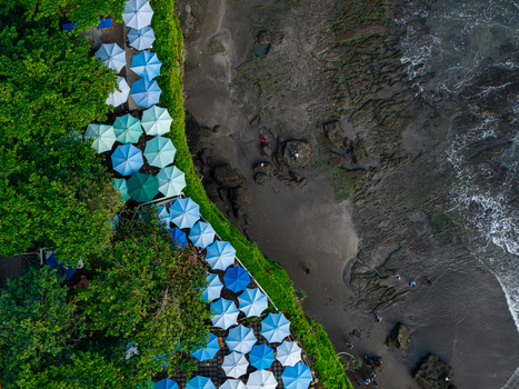 Aerial view of a beach with numerous blue and white umbrellas nestled among lush trees with people walking on the dark sand near the ocean waves in Kediri Bali Indonesia.
