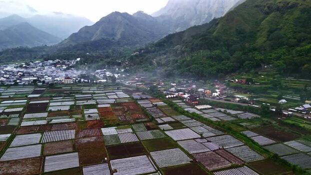 Aerial view of terraced agricultural fields in Bali Indonesia.