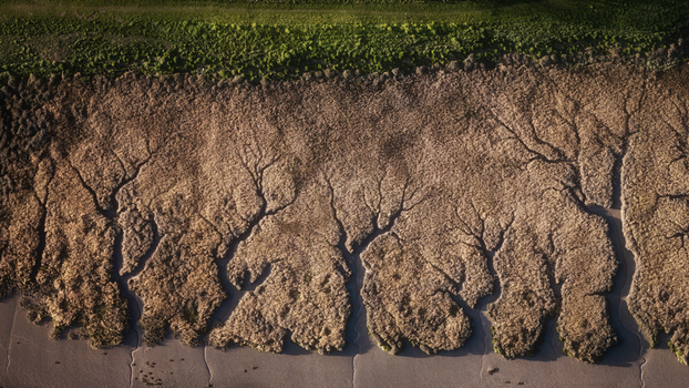 Aerial view of intricate drainage patterns in a salt marsh with green vegetation and earthy textures Portmarnock County Dublin Ireland. Aerial view of intricate drainage patterns in a salt marsh with green vegetation and earthy textures Portmarnock County Dublin Ireland.