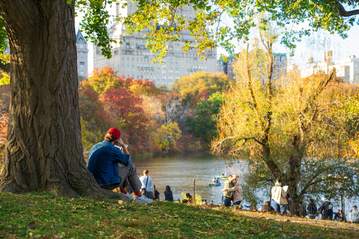 Manhattan United States 08 November 2025 View of Central Park s vibrant autumn foliage framing the iconic Plaza Hotel shimmering in the distance. Manhattan United States 08 November 2025 View of Central Park s vibrant autumn foliage framing the iconic Plaza Hotel shimmering in the distance.