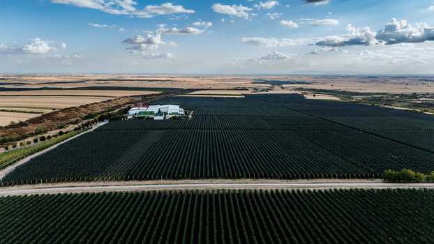 Aerial view of the Deuric winery and extensive vineyard rows stretching across the landscape under a blue sky with scattered clouds in Mala Remeta Vojvodina Serbia. Aerial view of the Deuric winery and extensive vineyard rows stretching across the landscape under a blue sky with scattered clouds in Mala Remeta Vojvodina Serbia.
