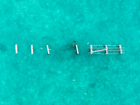 Aerial view of submerged wooden structures and flying birds in the dazzling turquoise waters revealing a serene yet haunting scene Hoarafushi Thiladhunmathee Uthuruburi Maldives. Aerial view of submerged wooden structures and flying birds in the dazzling turquoise waters revealing a serene yet haunting scene Hoarafushi Thiladhunmathee Uthuruburi Maldives.