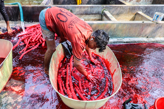 Narayanganj Bangladesh 29 March 2026 View of a worker knee deep in a crimson dye bath hands submerged amongst vibrant red coiled materials a stark contrast to the concrete surroundings. Narayanganj Bangladesh 29 March 2026 View of a worker knee deep in a crimson dye bath hands submerged amongst vibrant red coiled materials a stark contrast to the concrete surroundings.